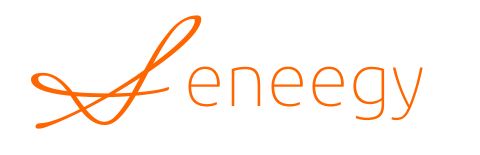 Leneeqy Logo